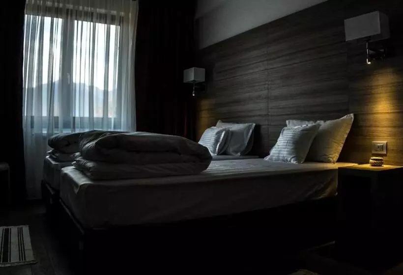 Hotelli Pensiunea Negoiu