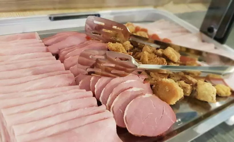 Hotelli Pensiunea Negoiu