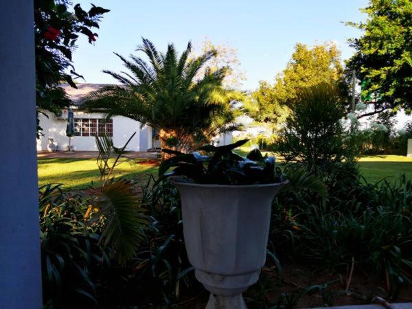 פנסיון The Owl S Nest Guesthouse