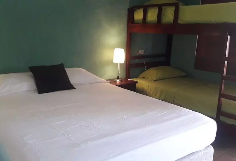 ペンション Triboo Hostel