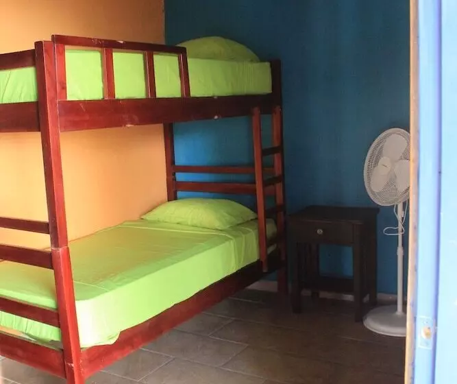 ペンション Triboo Hostel