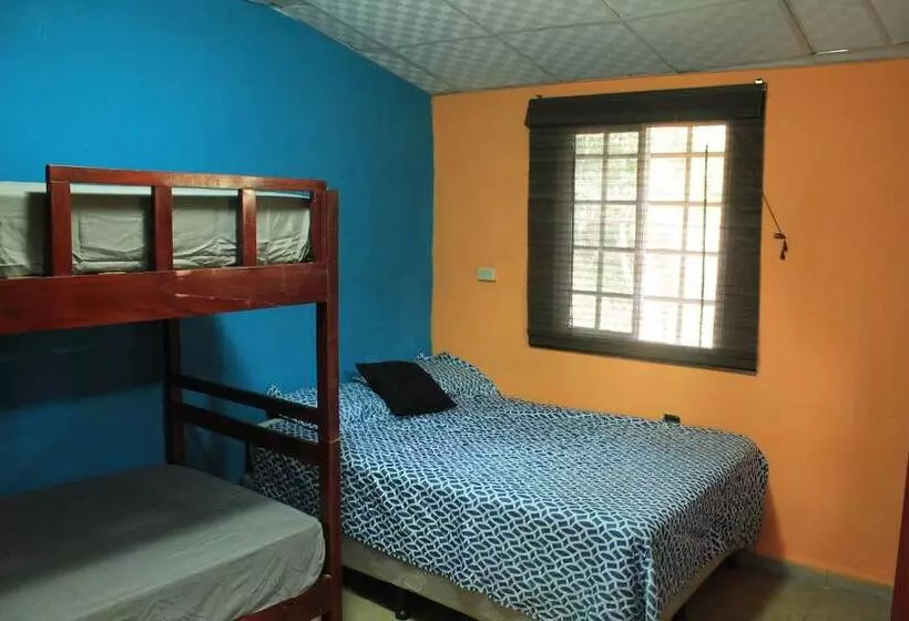 ペンション Triboo Hostel