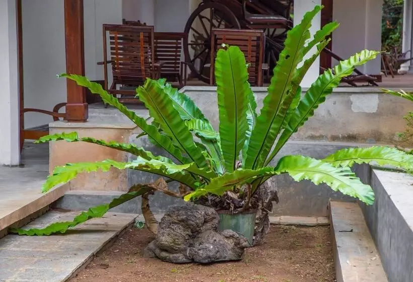 Aamiaismajoitus (B&B) Aqua Nillambe