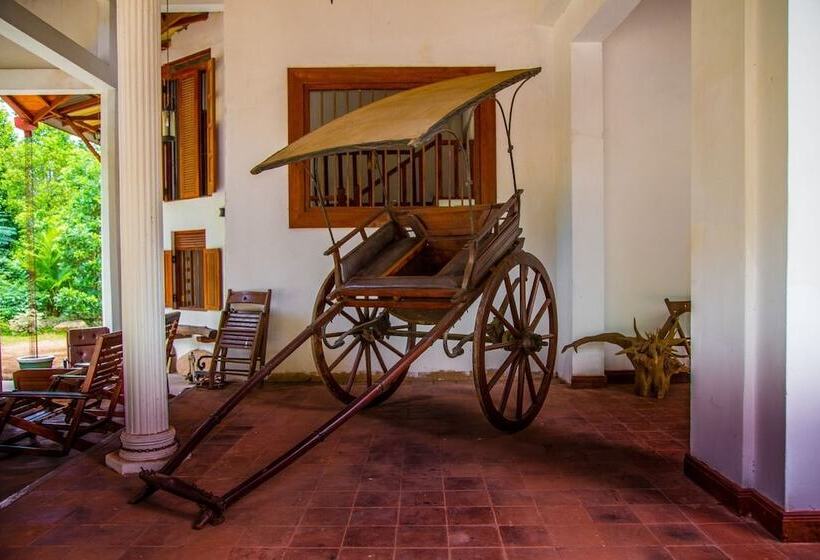 Bed and Breakfast Aqua Nillambe