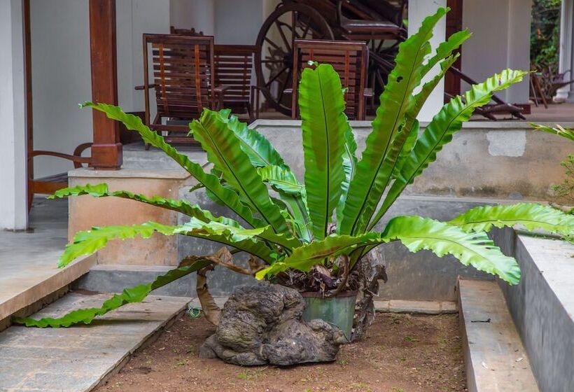 Bed and Breakfast Aqua Nillambe