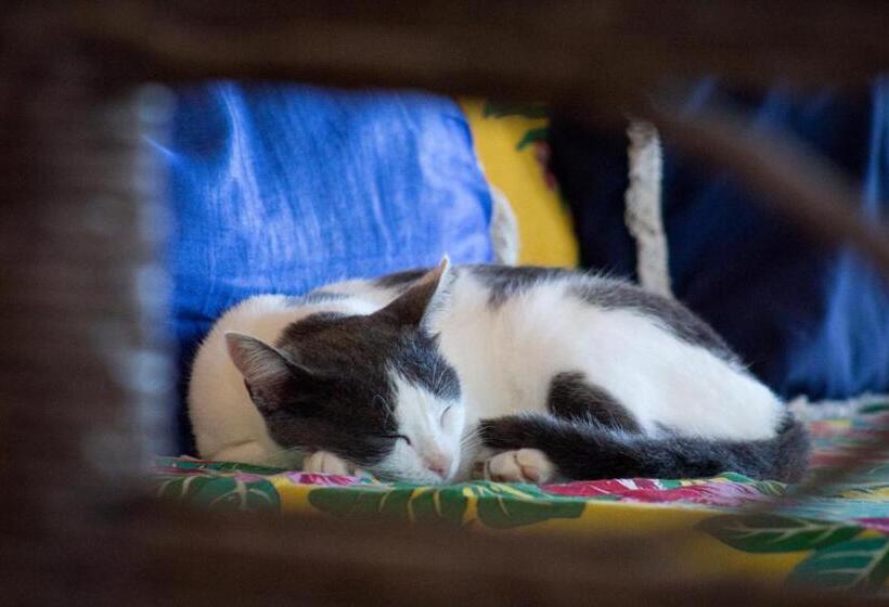 צימר Pousada Escape