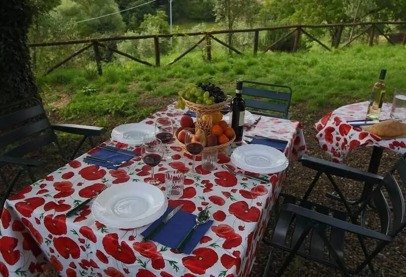 Quaint Cottage With Pool