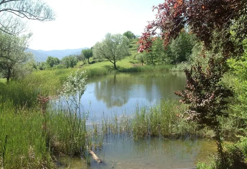 田舎風ホテル Agriturismo Il Picchio Verde