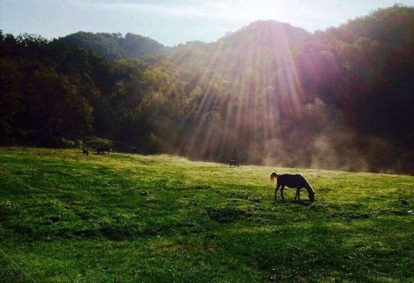 乡村酒店 Agriturismo Il Picchio Verde