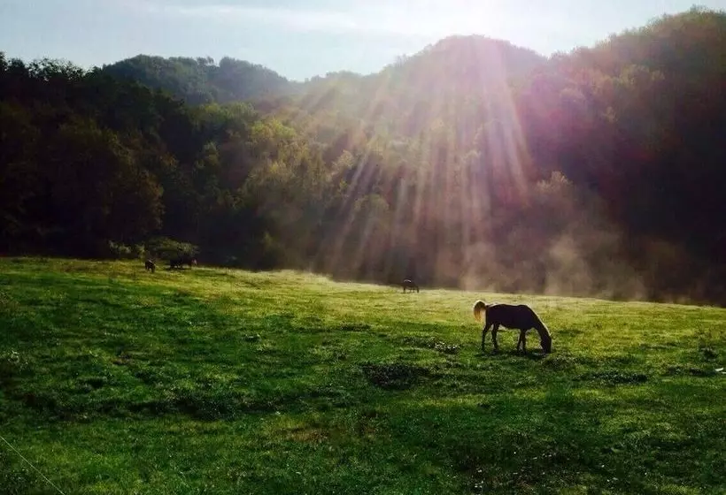 田舎風ホテル Agriturismo Il Picchio Verde