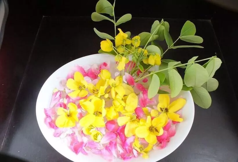 پانسیون Aroghaya  Resort Akurala