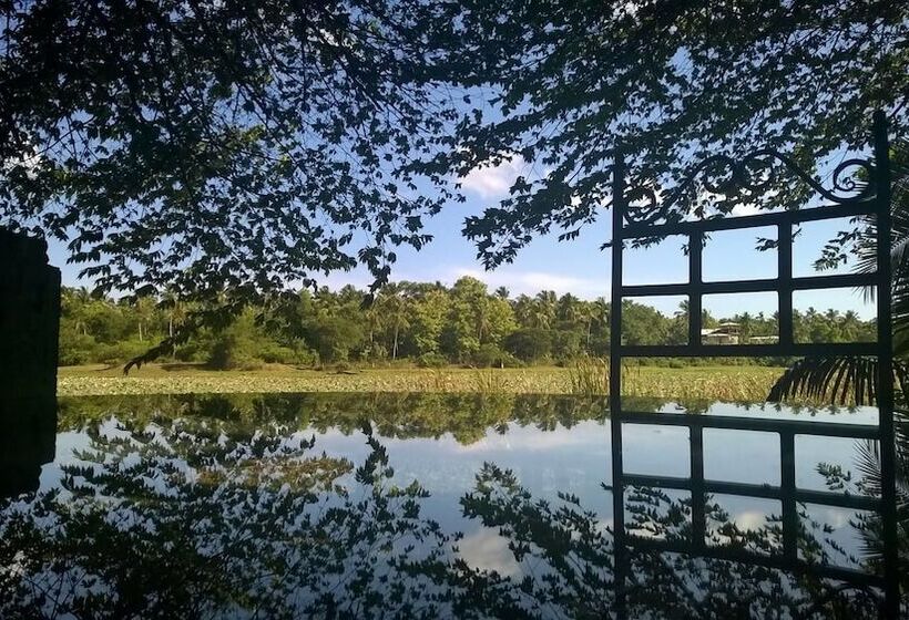 بنسيون Mahawewa Nature Resort And Spa