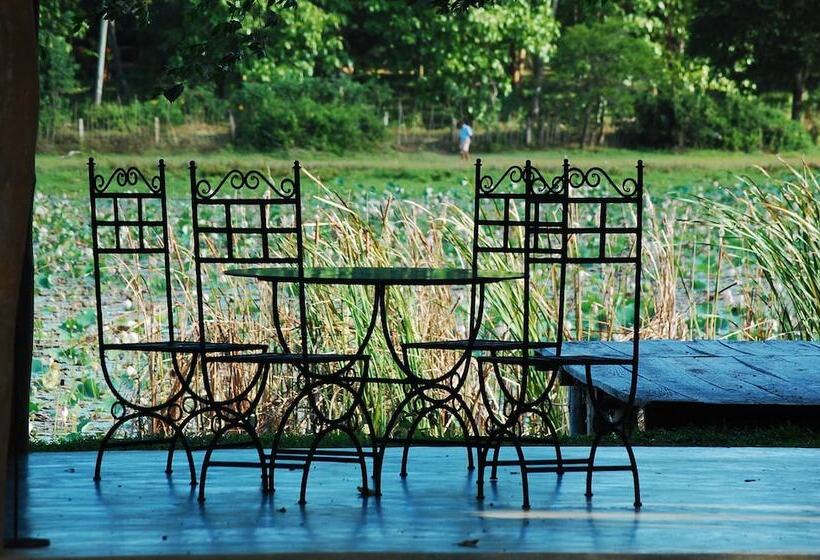 بنسيون Mahawewa Nature Resort And Spa