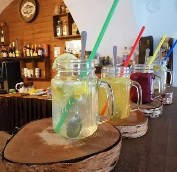 ペンション Penzion U šlechtičen