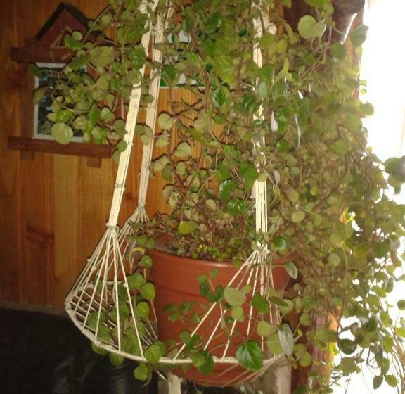 Hostel Hosteria Rayen