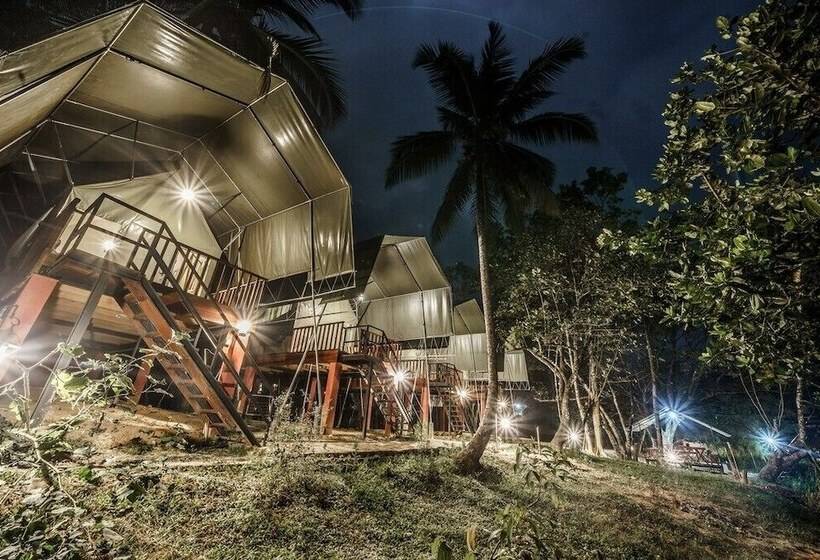 Hotel 360 Rainforest