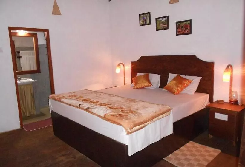 Hotelli 360 Rainforest