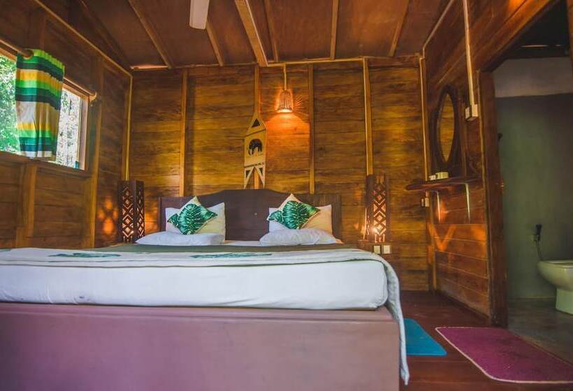 Hotel 360 Rainforest