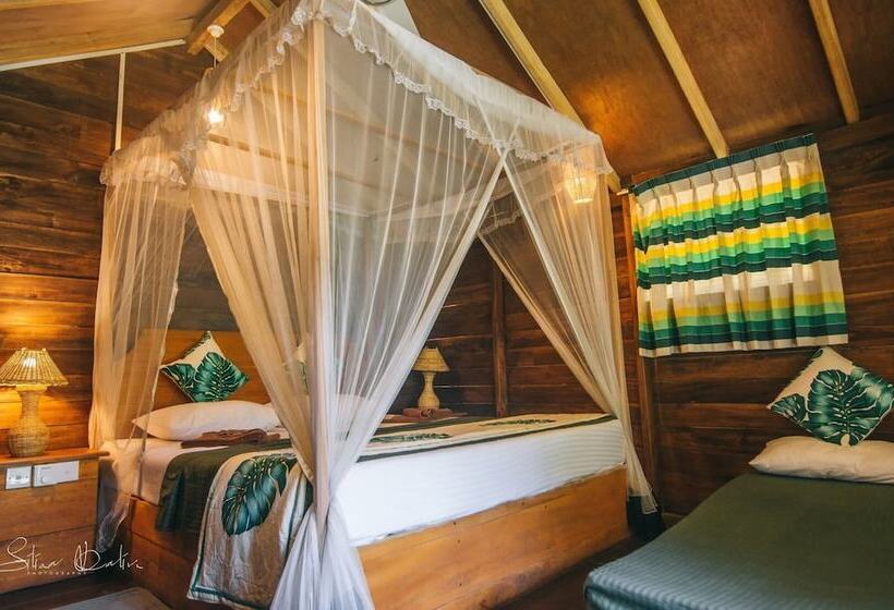 Hotel 360 Rainforest