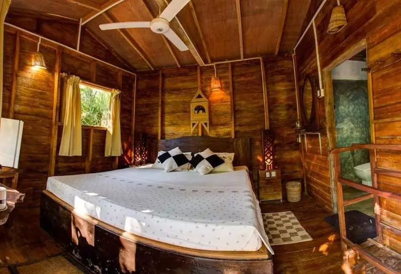 Hotelli 360 Rainforest