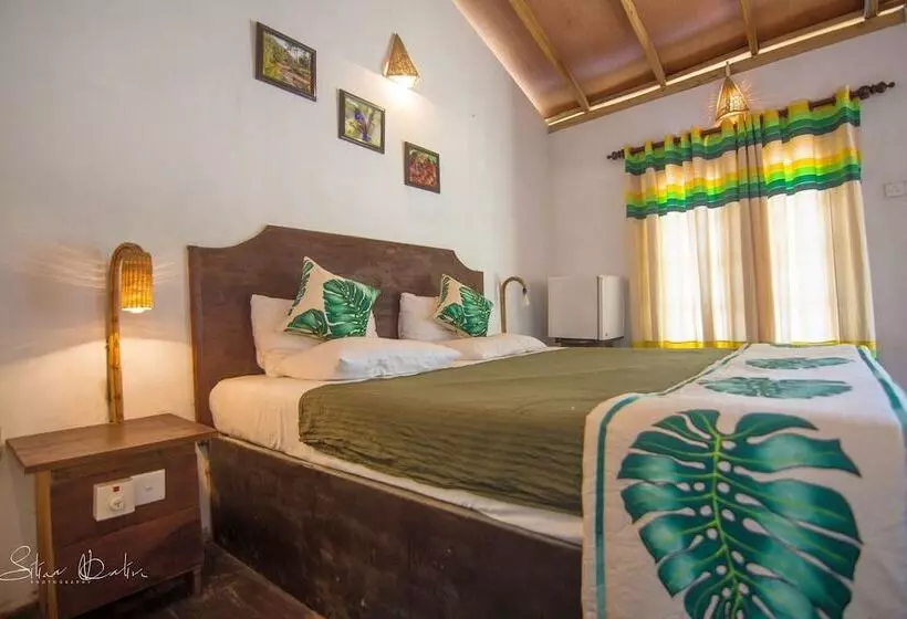 Hotelli 360 Rainforest