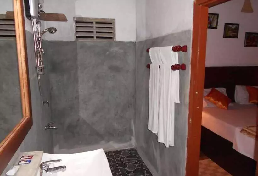 Hotelli 360 Rainforest