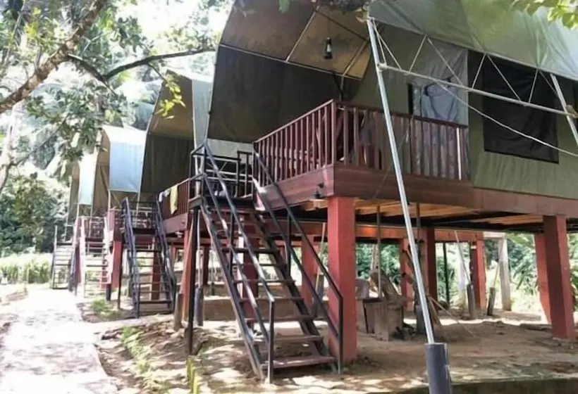 Hotelli 360 Rainforest