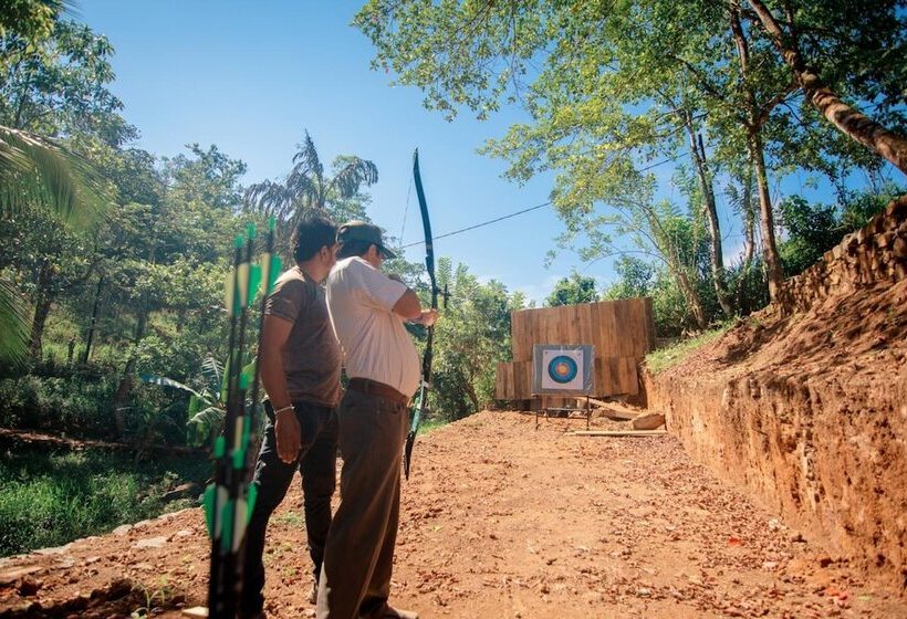 Hotel 360 Rainforest