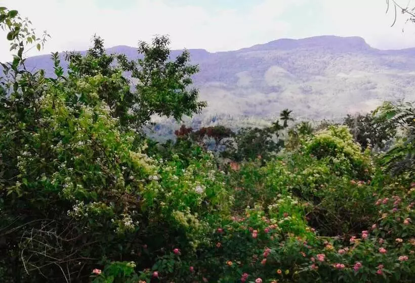 Hotelli 360 Rainforest