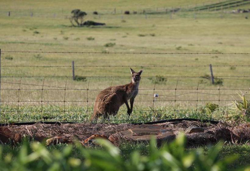 Hotel Pink Gums Farmstay