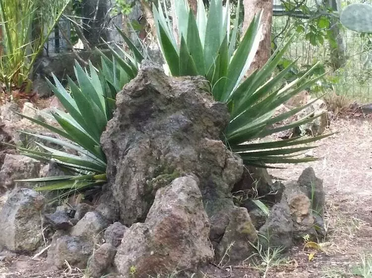 پانسیون Villa Giorgia