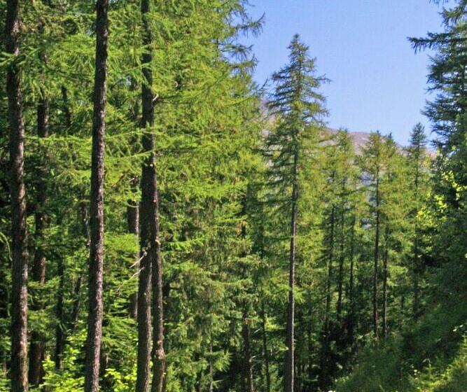 استراحتگاه Azureva Les Karellis