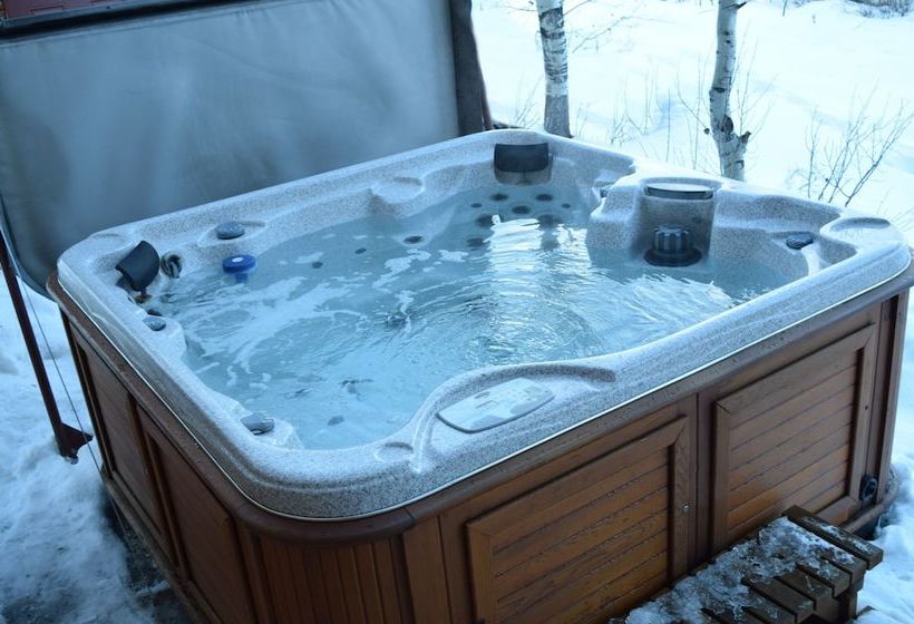 The Aspen Moose Vacation Cabin