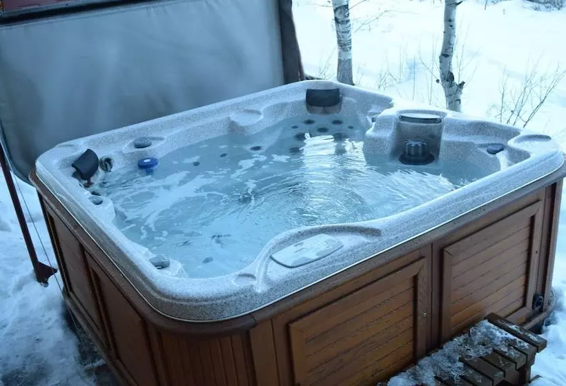 The Aspen Moose Vacation Cabin
