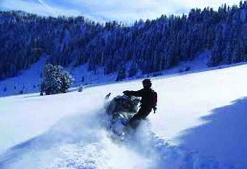 The Aspen Moose Vacation Cabin