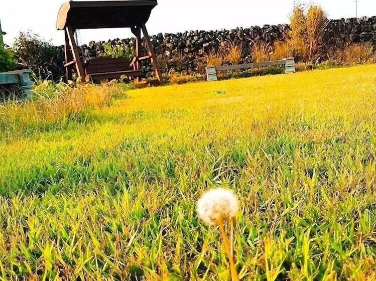 ホテル Hadori Mindfulness