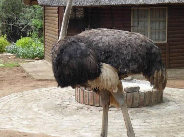 ホテル Kruger Cottage