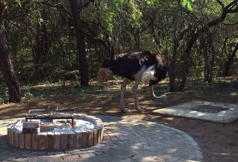 ホテル Kruger Cottage