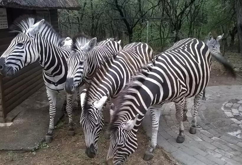 Hotelli Kruger Cottage