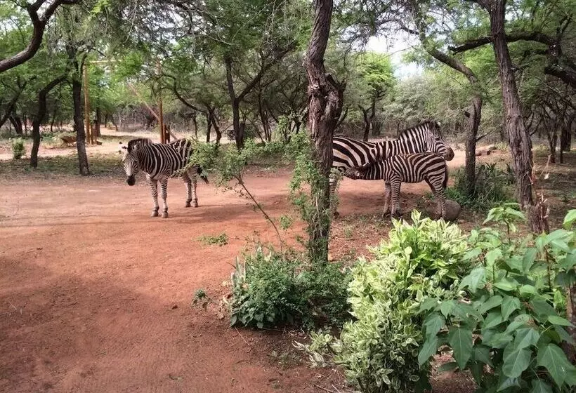 Hotelli Kruger Cottage