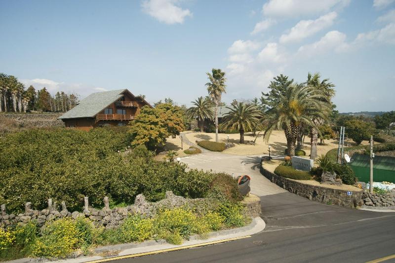 酒店 Sunnyday Jeju