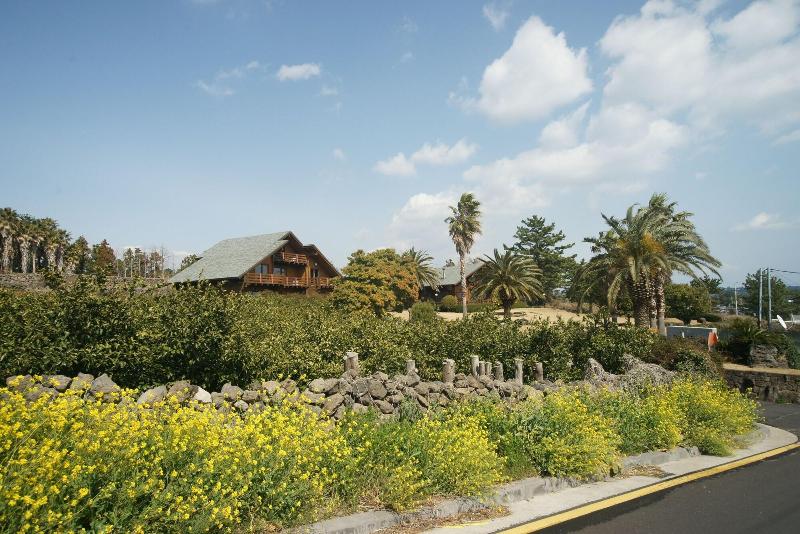 酒店 Sunnyday Jeju