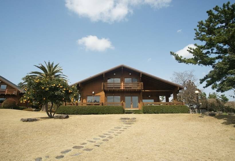 酒店 Sunnyday Jeju