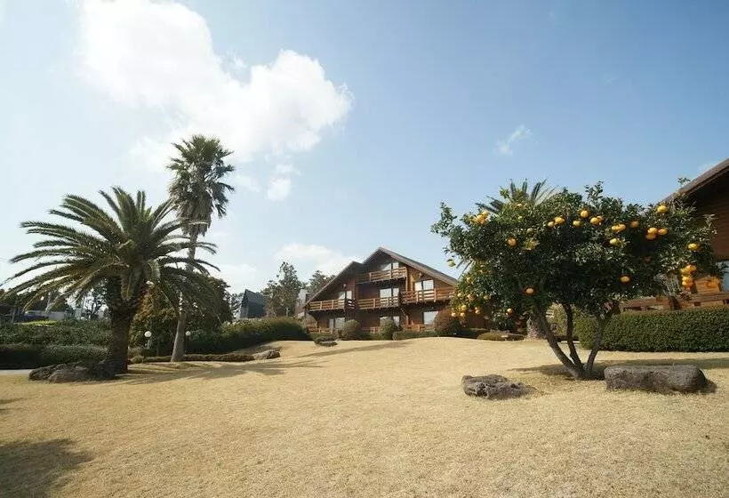 Hotelli Sunnyday Jeju