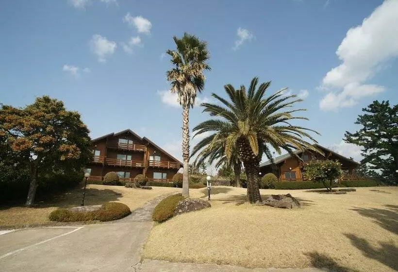 Hotelli Sunnyday Jeju