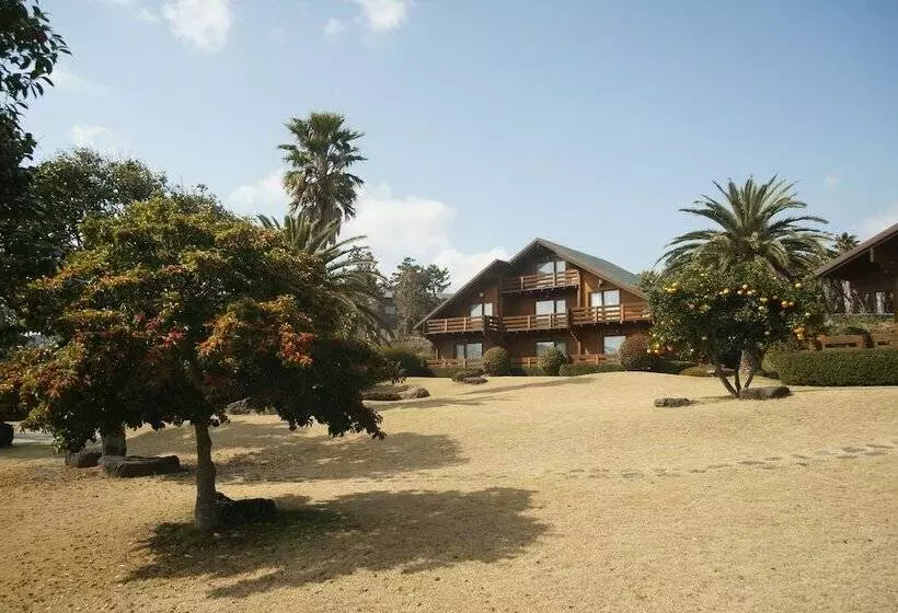 Hotelli Sunnyday Jeju