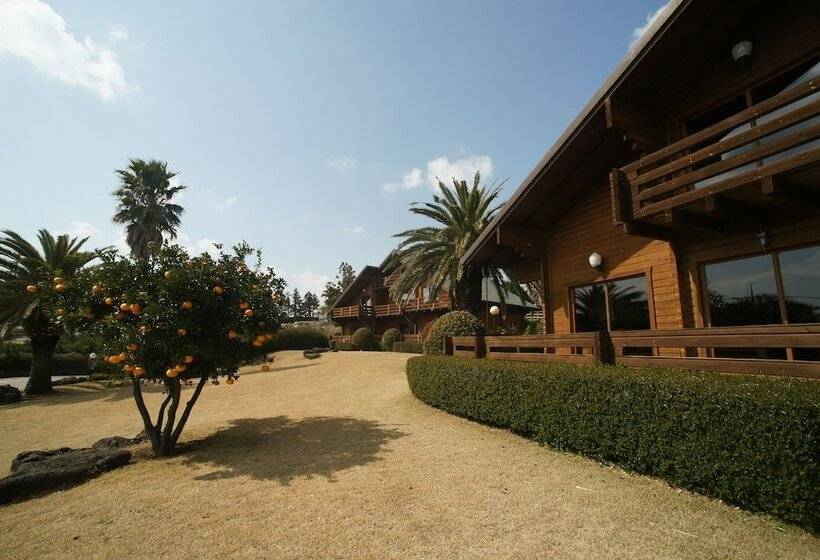 酒店 Sunnyday Jeju