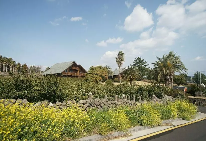 Hotelli Sunnyday Jeju