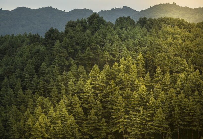 Club Himalaya, By Ace Hotels