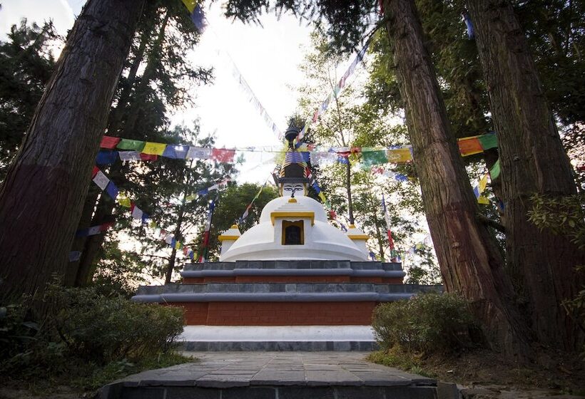 Club Himalaya, By Ace Hotels